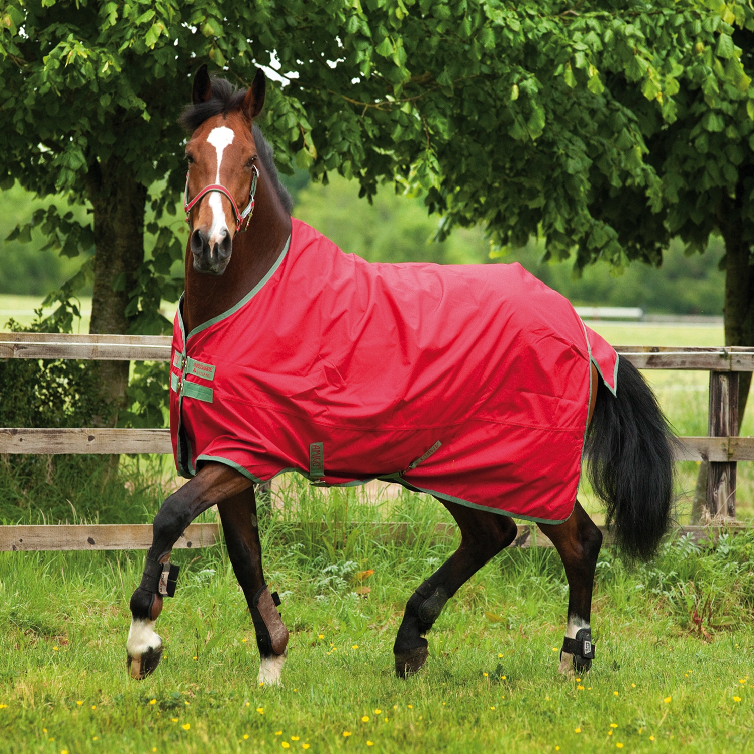 UITVERKOOP regendekens Horseware Ireland Rhino/Amigo Bokt.nl