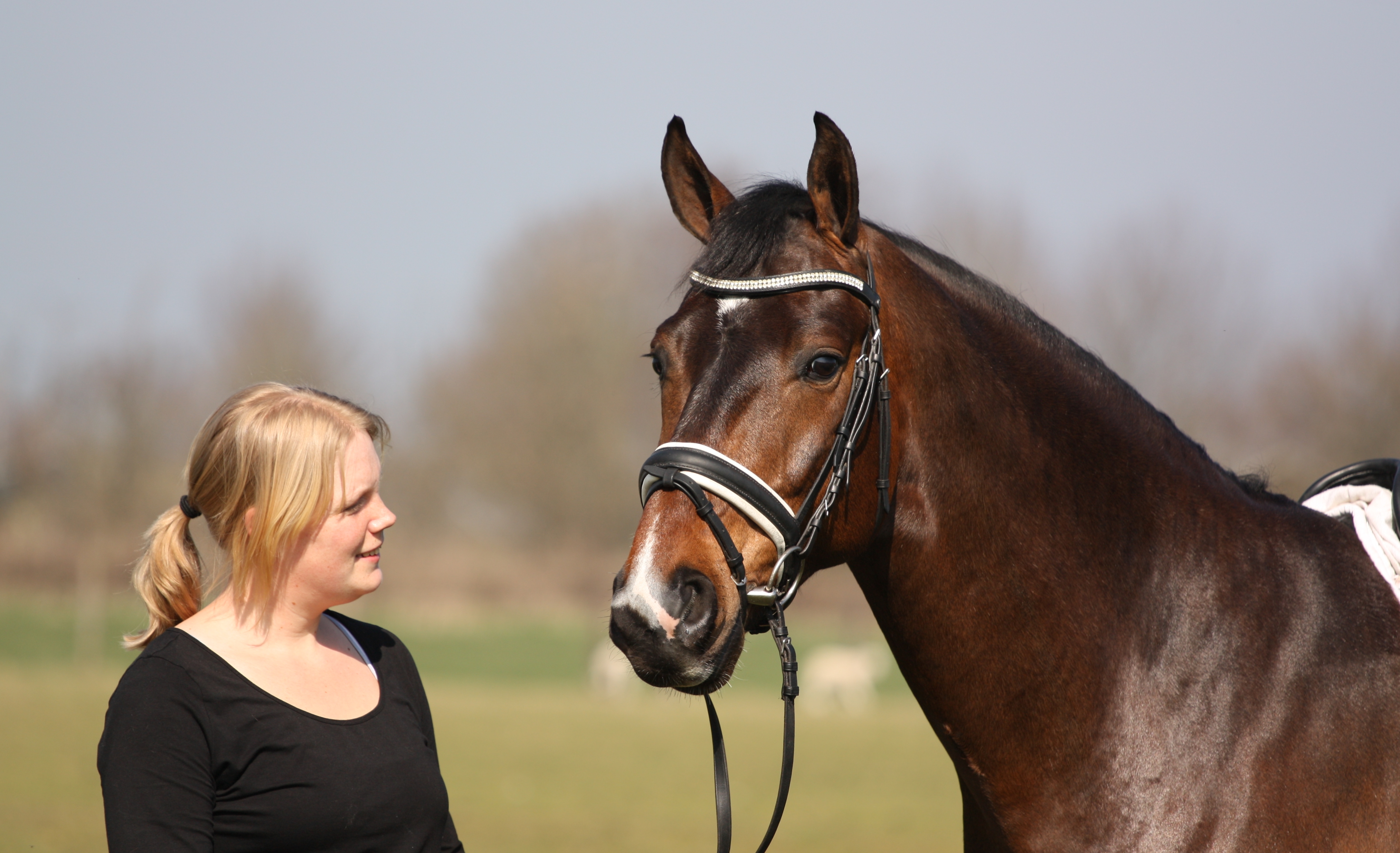 Z dressuur amazone voor training en/of begeleiding! Bokt.nl