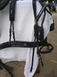 lederen enkelspantuig maat : ful | Bokt.nl