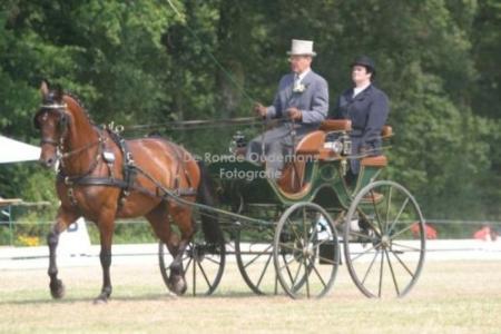 Luxe dressuur/presentatie tuig Van der Wiel Harness