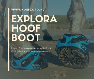 explora hoof boot