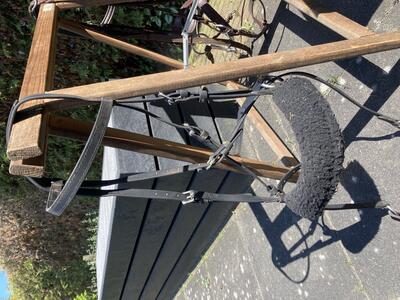 Hoofdstel Harry's Horse Mexicaans Zwart - Eppleck