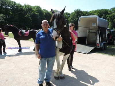 Paardentaxi-Amsterdam | Bokt.nl