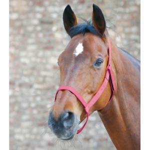 roze