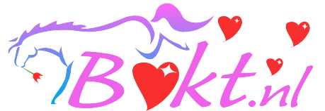 Bestand:Logo Valentijn.png