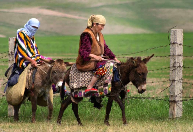 Bestand:Ezel rijdier Tadzjikistan.jpg