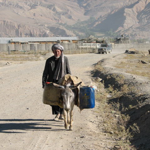 Bestand:Ezel lastdier Afghanistan.jpg