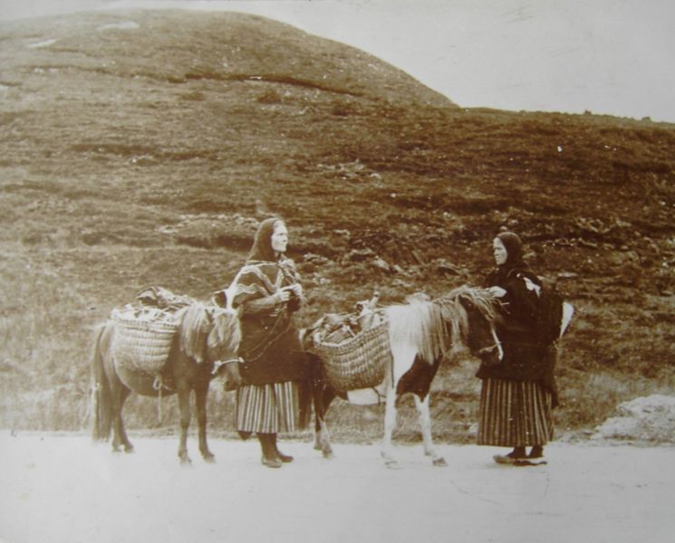 Bestand:Shetland 1900.jpg