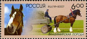 Postzegel Rusland - Vladimir.jpeg