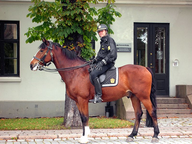 Bestand:Bereden politie Oslo.jpg