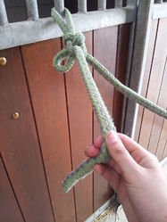 Trek aan het stuk touw dat aan het halster vast zit om de knoop te testen en op te schuiven richting de spijl.