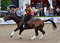 Op Horse Event 2011
