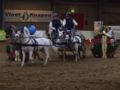 Vierspan pony’s met Peter de Koning tijdens een indoorwedstrijd