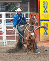 Calf Roping.jpg