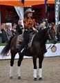 Een standfoto op Horse Event 2011