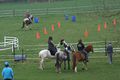Ruiters en paarden tijdens een working equitation