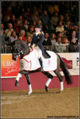 Sunrise winnares Wereldbekerwedstrijd Olympia Horse Show Londen (2006).