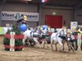 Vierspan pony’s met Sjekkie Lenssen tijdens een indoorwedstrijd