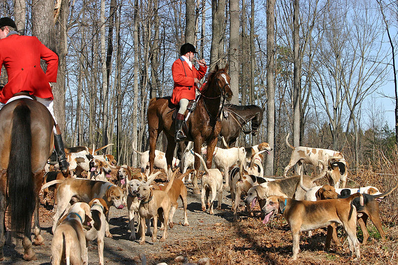 Bestand:Foxhunting Master of Hounds.jpg